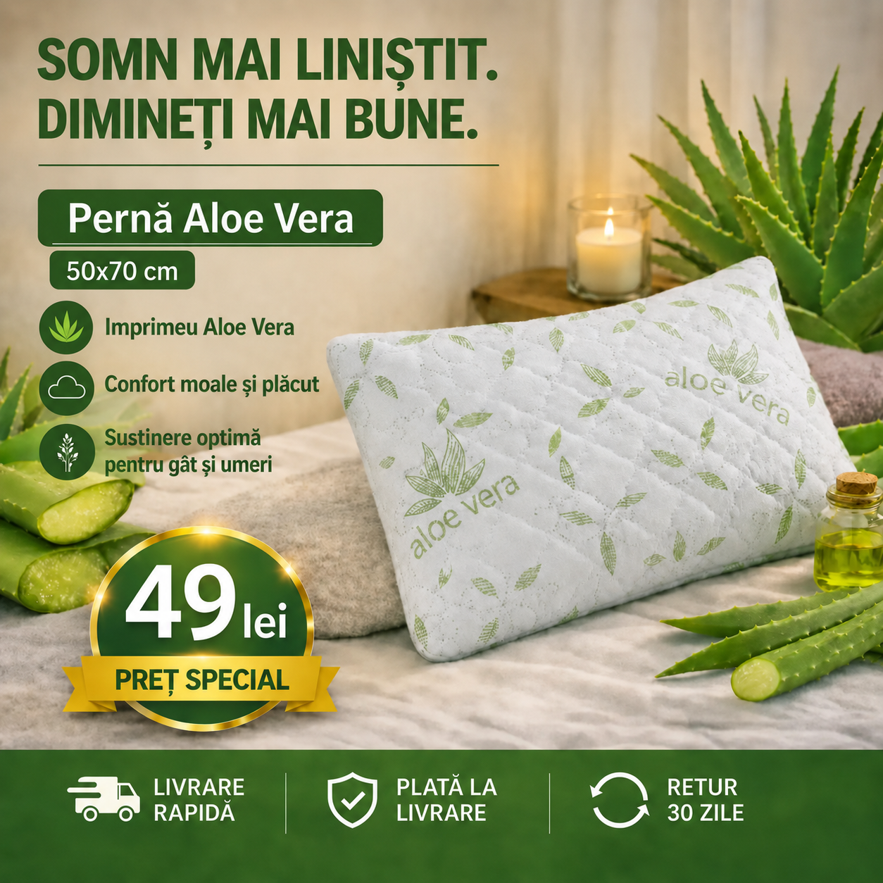Pernă Aloe Vera premium matlasată 50x70 cm