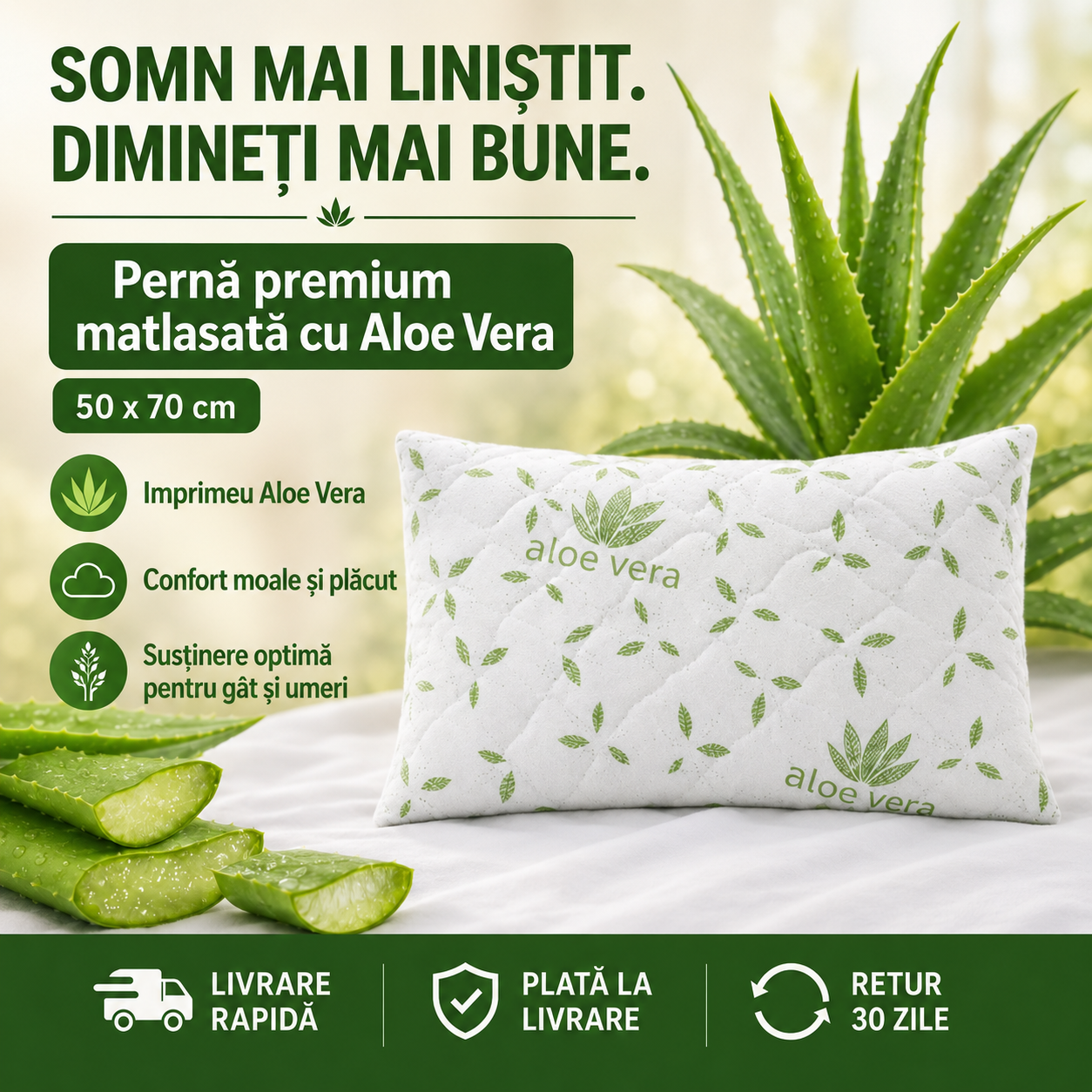 Pernă Aloe Vera premium matlasată 50x70 cm